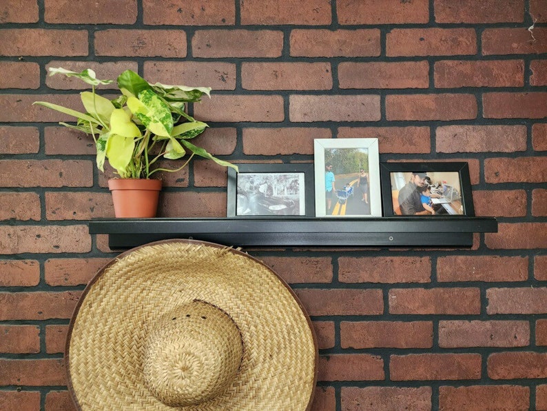 Variegated Burle Marx Philodendron Rooted in 4” or 6” inch Pot | Air Roots w/ Nodes | Indoor & Outdoor Live Tropical House plant | Easy Care